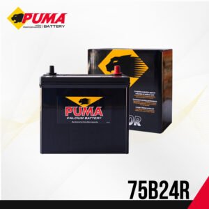แบตเตอรี่รถยนต์ PUMA รุ่น 75B24R (PB80R)